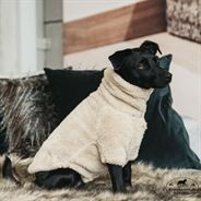 Kentucky Hundesweater I Teddyfleece - Beige